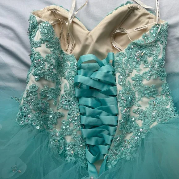 Morilee Vizcaya Quinceanera Corset Fairytale Dress Ball Gown 89174 *Note Cond - Picture 7 of 15